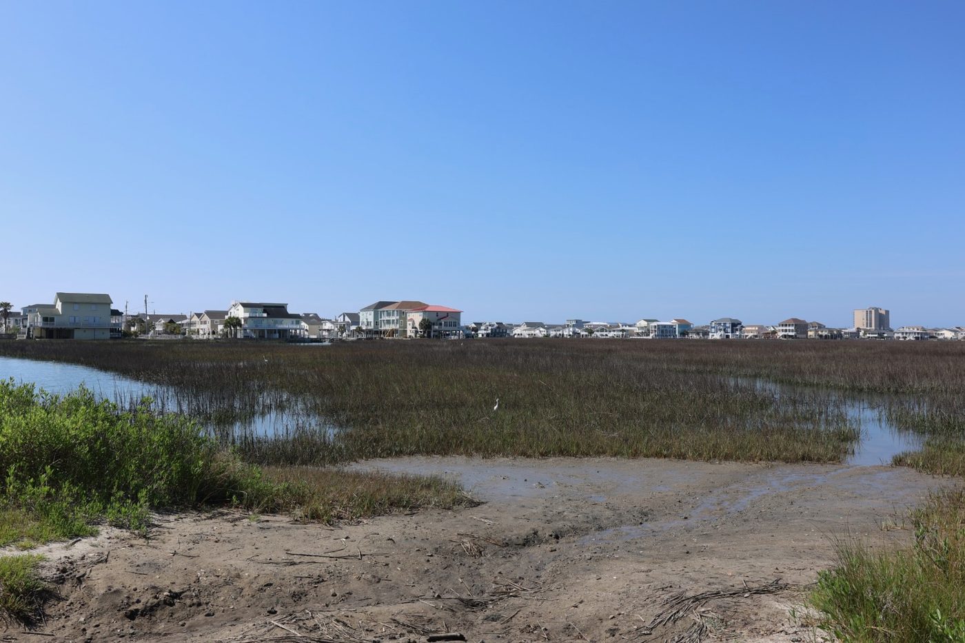 Marsh and wetlands at Cherry Grove Park looking toward the beach