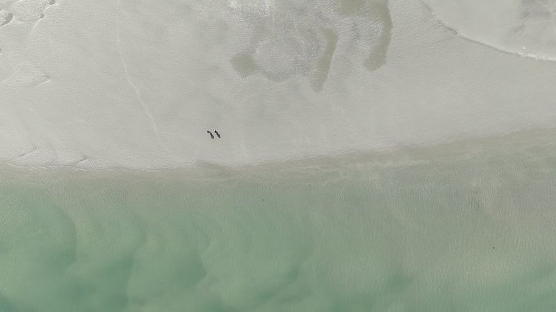 The Point at Cherry Grove Beach at low tide — wide open sandbar, another world
