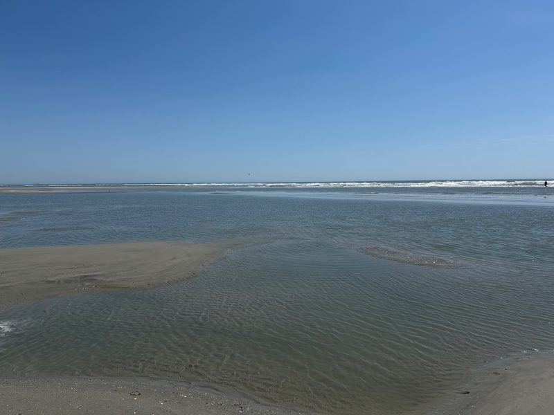 Endless tide pools at The Point, Cherry Grove Beach at low tide